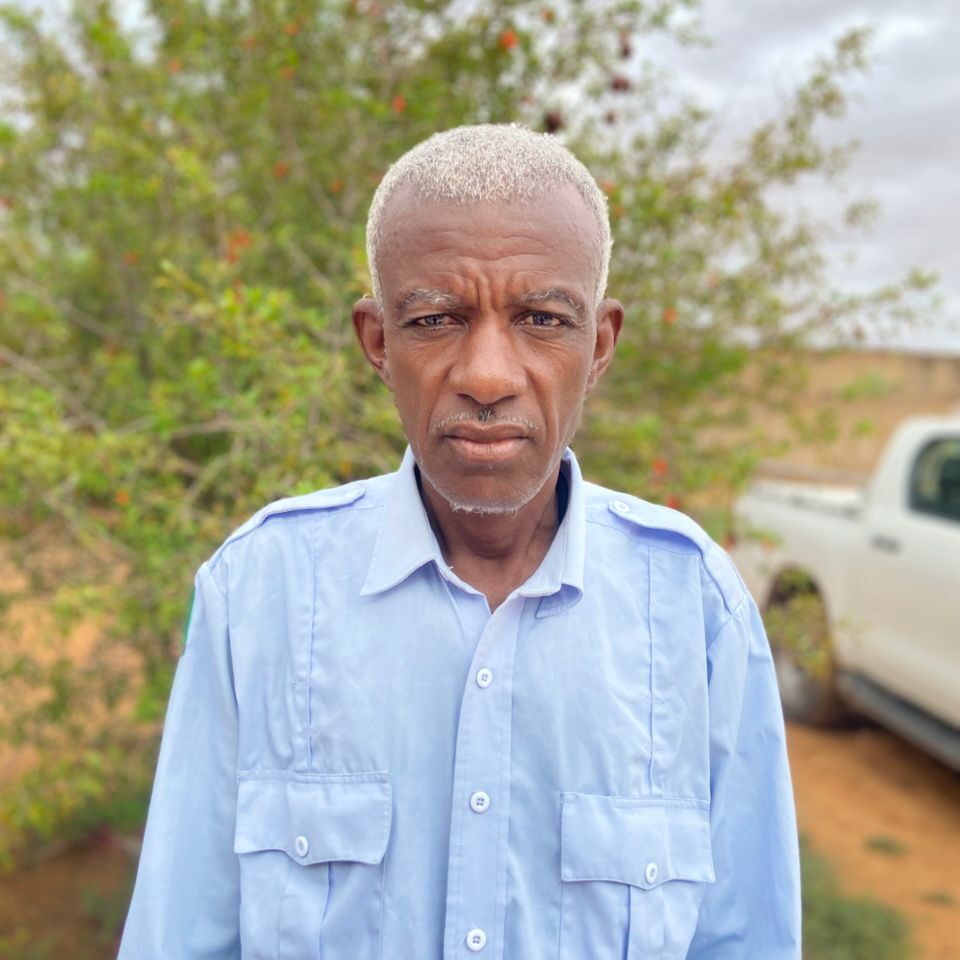 Sidi Hammadi BA