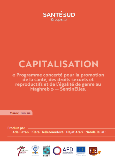 Fiche de capitalisation - Introduction au programme SentinElles
